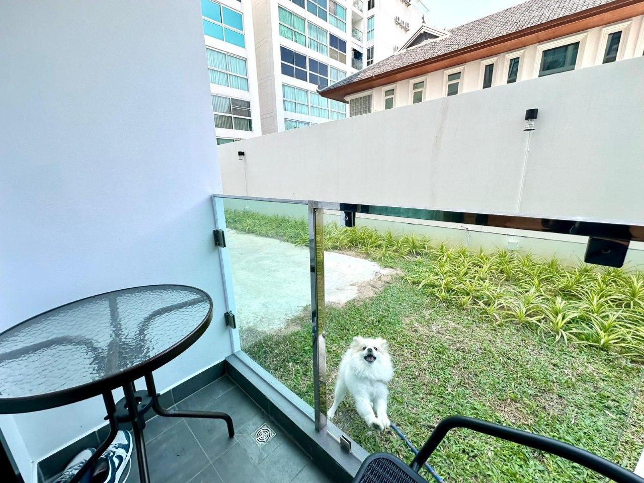 Studio, 25.45 m² in Siam Oriental Dream - photo 3