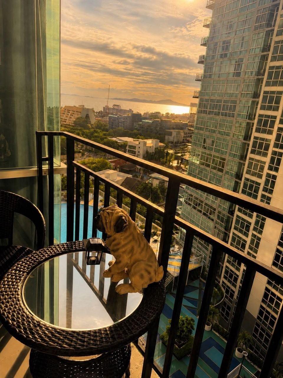 1-спальная квартира 25 м² в The Twin Tower Jomtien — фото 3