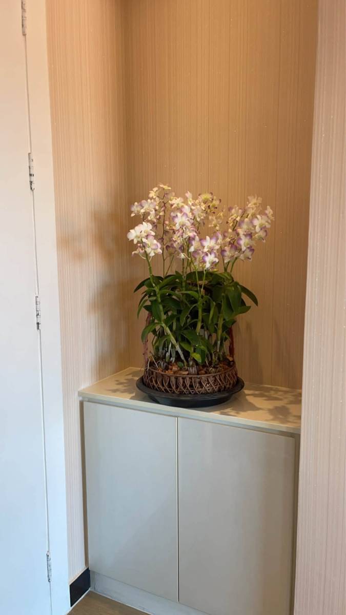 1-bedroom apartment, 38 m² in The Blue Residence - photo 2
